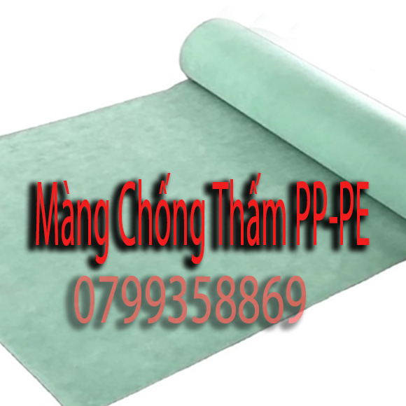 Màng Chống Thấm PPPE Huế